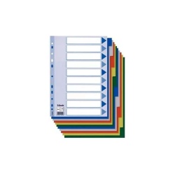 Regiszter, műanyag, A4, 10 részes, ESSELTE